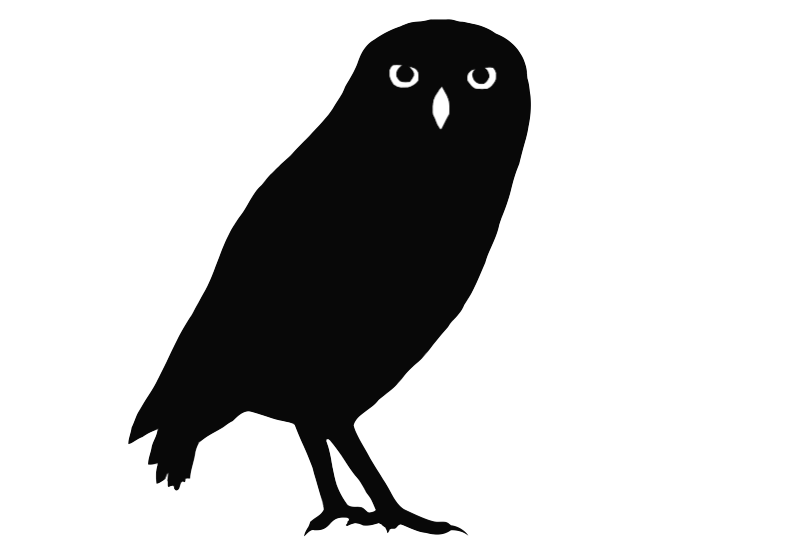 Fauna da Cidade - Aves