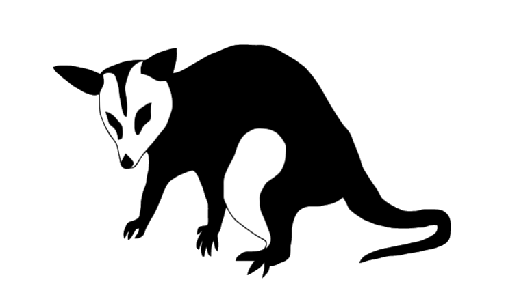 Fauna da Cidade - Mamíferos