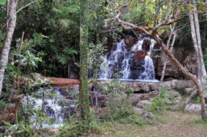 Cachoeira