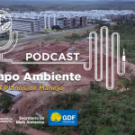 Papo Ambiente